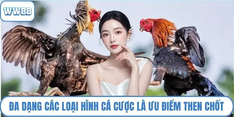 Đa dạng các loại hình cá cược là ưu điểm then chốt