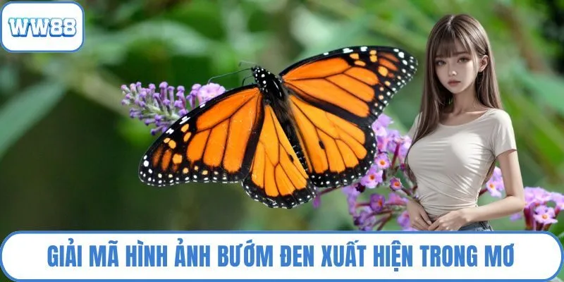 Giải mã hình ảnh bướm đen xuất hiện trong mơ