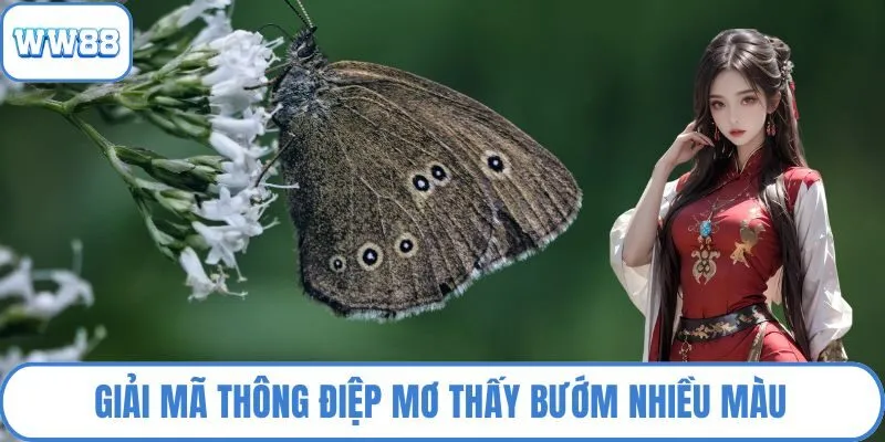 Giải mã thông điệp mơ thấy bướm nhiều màu