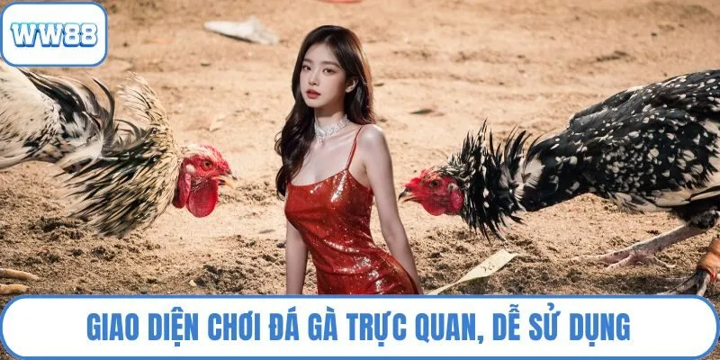 Giao diện chơi đá gà trực quan, dễ sử dụng