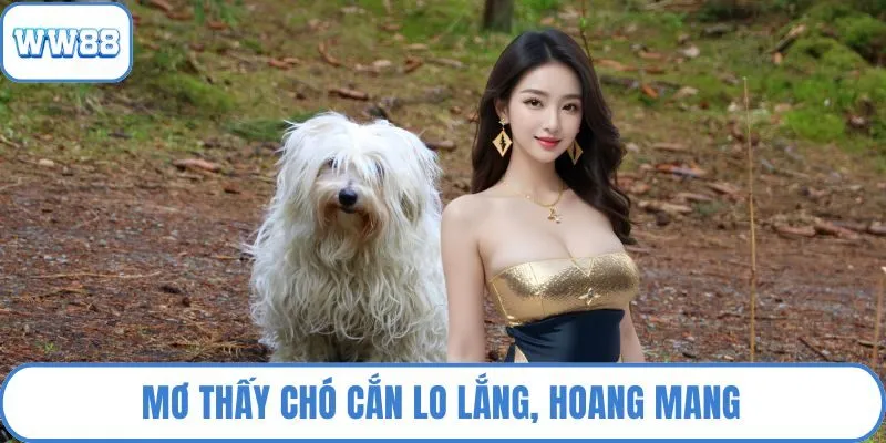 Mơ thấy chó cắn lo lắng, hoang mang