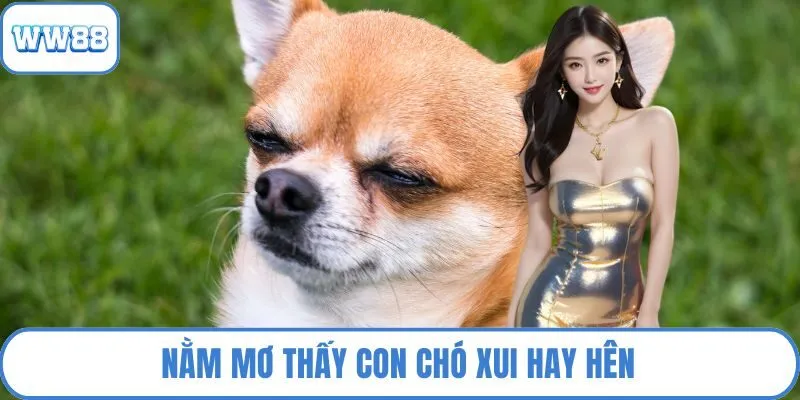 Nằm mơ thấy con chó xui hay hên