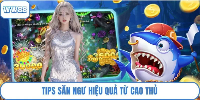 Tips săn ngư hiệu quả từ cao thủ